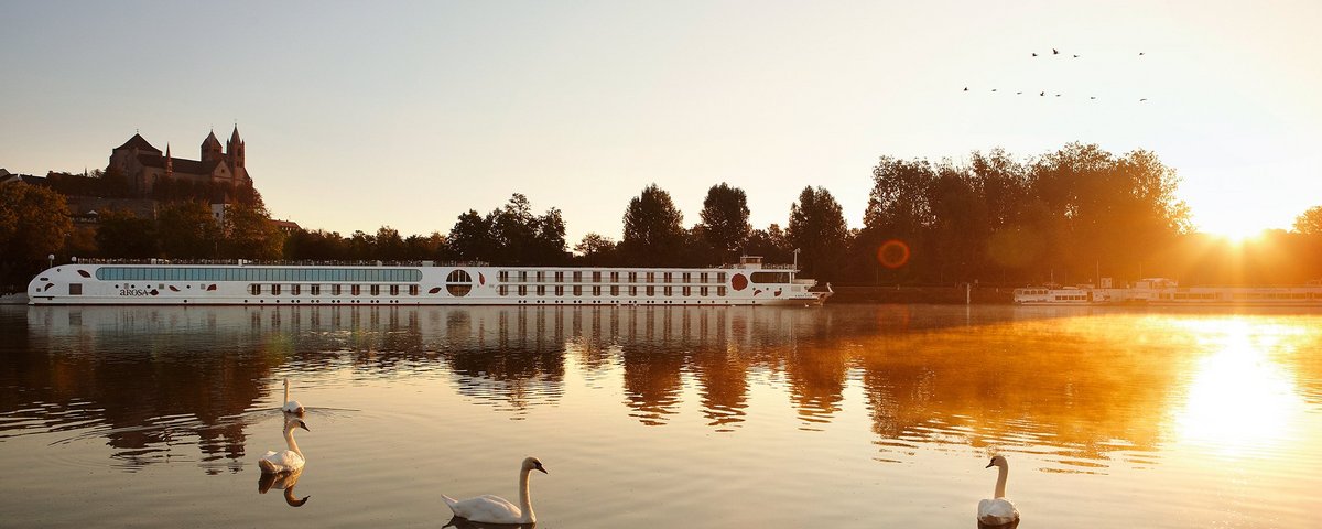 Die A-ROSA AQUA liegt am frühen Morgen zum Sonnenaufgang bei ruhigem Wasser an einem Anleger. Im Vordergrund schwimmen Schwäne in der Nähe des Ufers.
