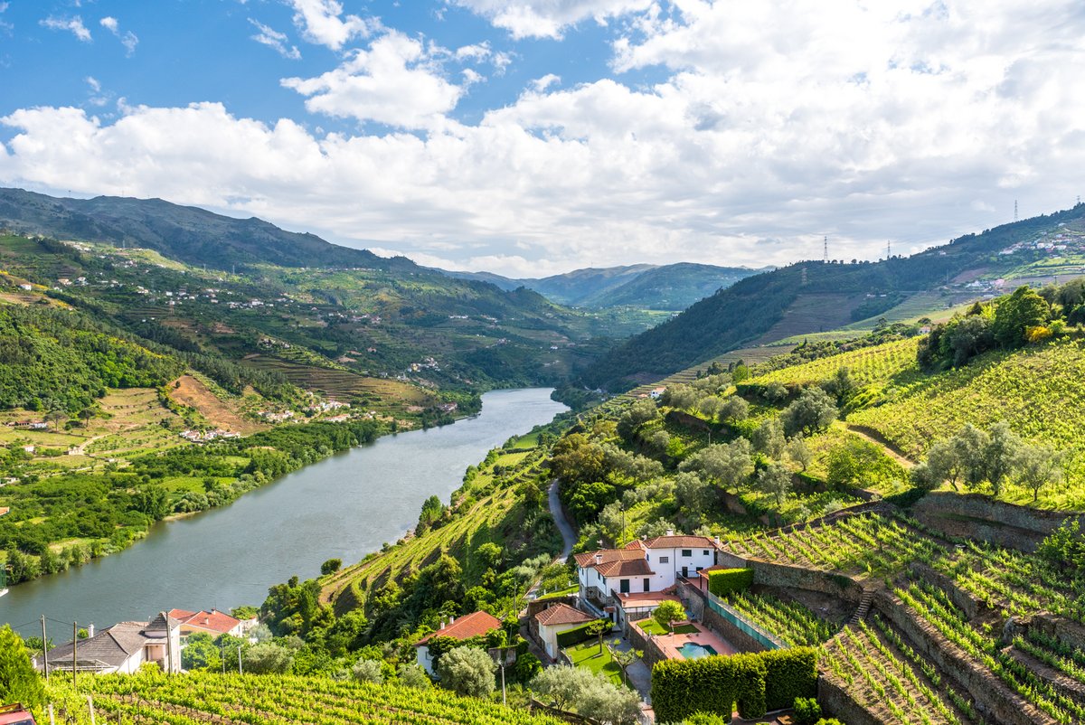 Douro-Flusskreuzfahrt mit A-ROSA genießen 