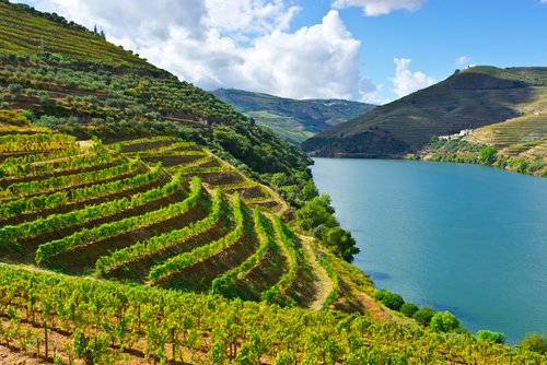 Fluss Douro mit terrassierten Weinbergen im Hintergrund, unter blauem Himmel