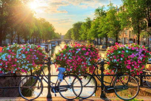 Amsterdam A-ROSA Rhein Flussreisen nach Amsterdam