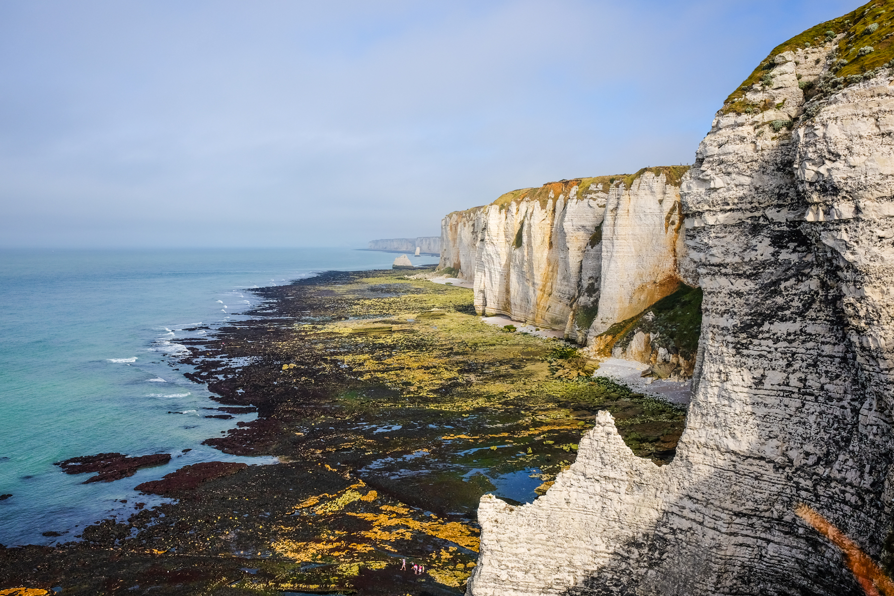 Kalksteinfelsen und Klippen entlang der Küste von Étretat bei Ebbe mit sichtbarem Meeresboden und ruhigem Meer im Hintergrund