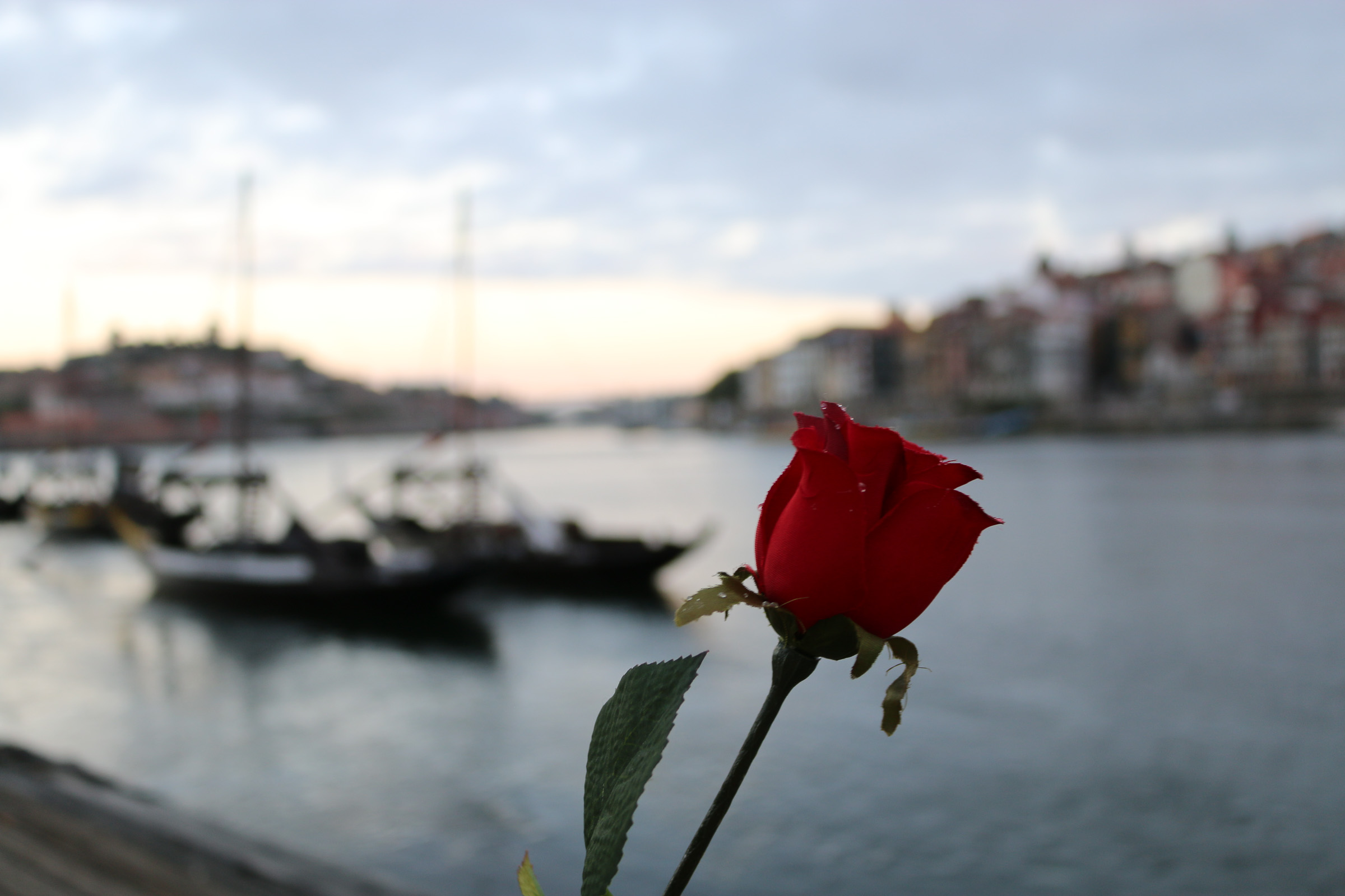 Portgal mit A-ROSA entdecken